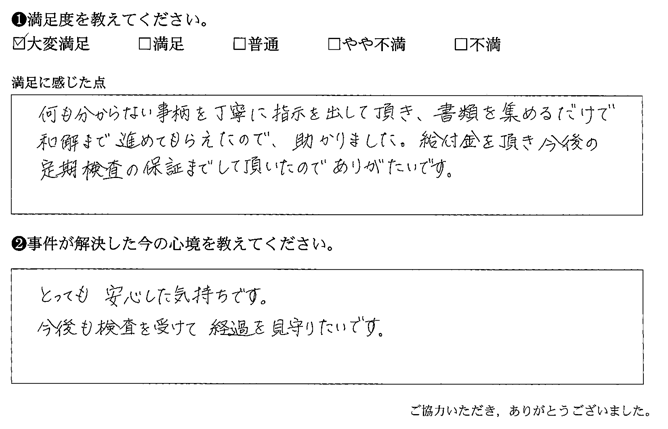 丁寧に指示を出して頂き、書類を集めるだけで和解まで進めてもらえたので、助かりました